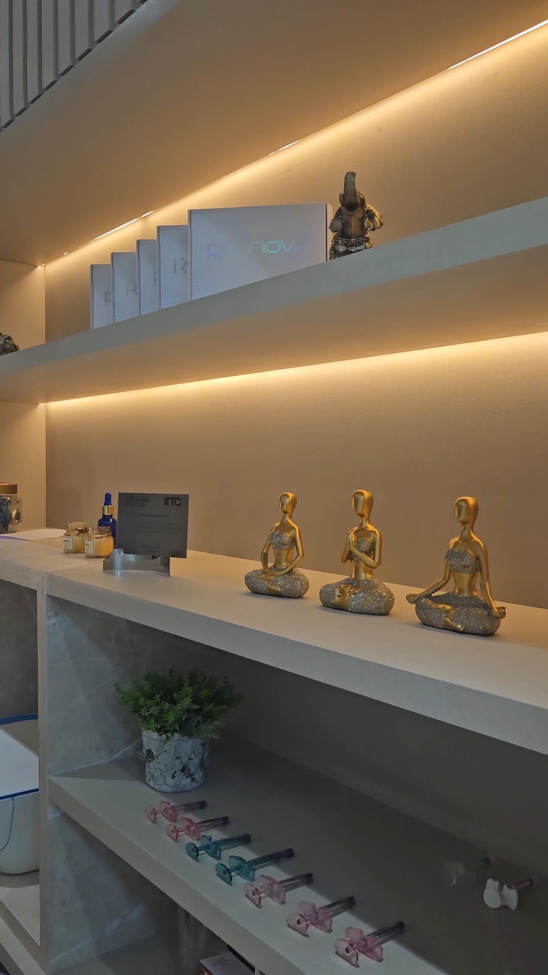 Sala de Atendimento Lottus Clinic